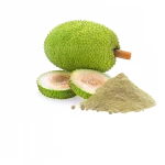 Farine de fruit à pain