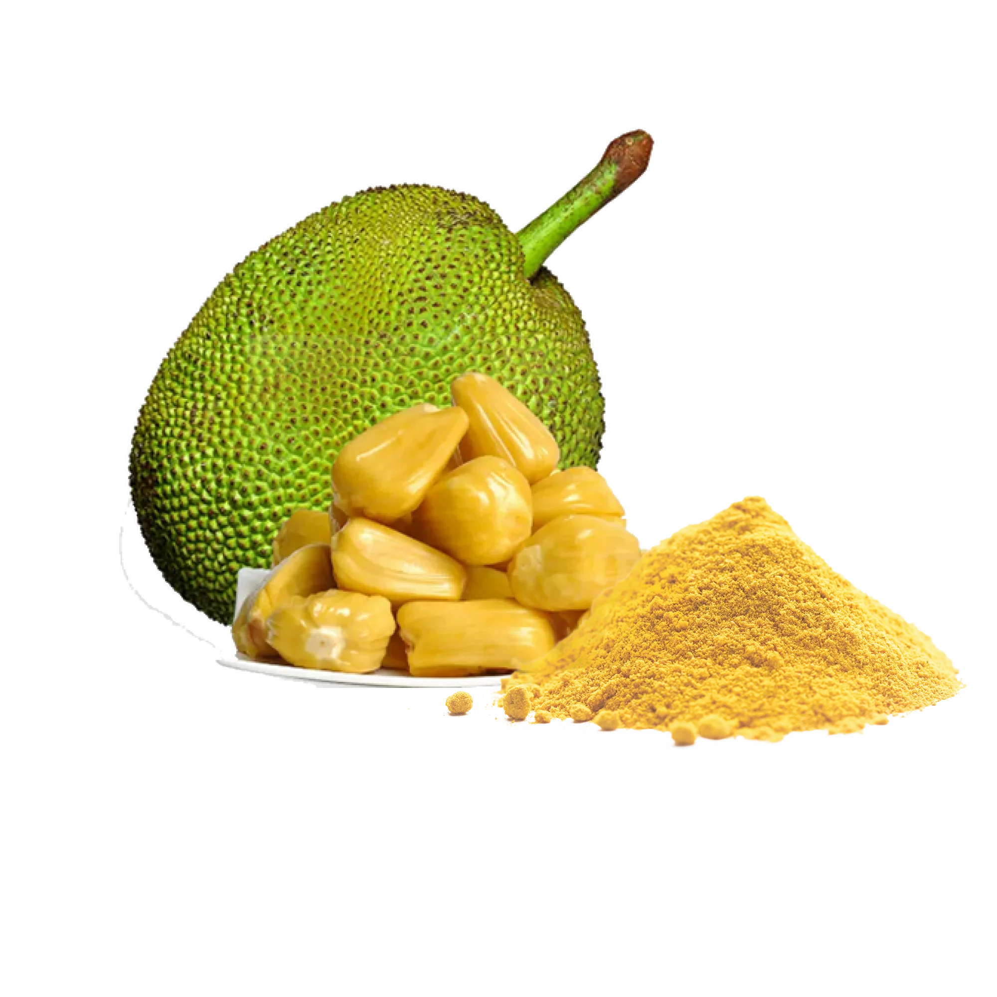 Green jackfruit powder