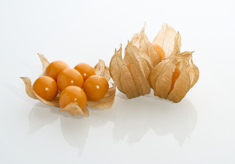 ripe-physalis-berry-isolated-white-background